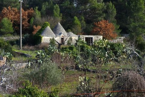 Villa i Fasano, Brindisi, Fasano - € 490.000 | Ref: AMO - foto 32