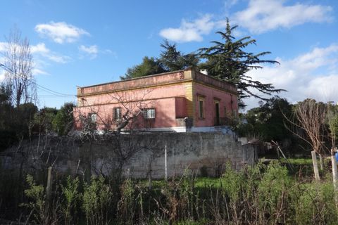 Villa i Fasano, Brindisi, Fasano - € 490.000 | Ref: AMO - foto 35