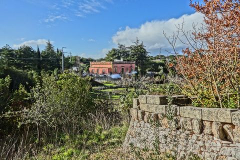 Villa i Fasano, Brindisi, Fasano - € 490.000 | Ref: AMO - foto 37