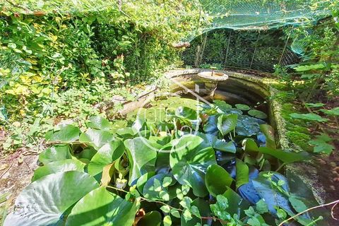 Villa i Pineuilh, Gironde, Pineuilh - € 152.000 | Ref: 4800 - foto 20