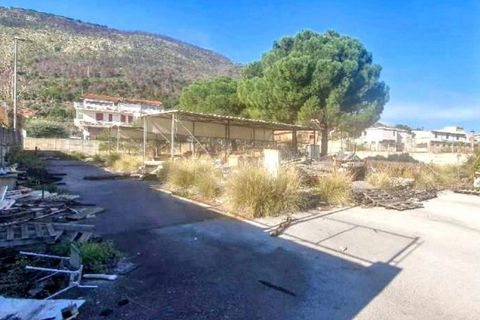 Helårsgrund i Palermo, Palermo, Palermo - € 566.578 | Ref: 2536145 - foto 1