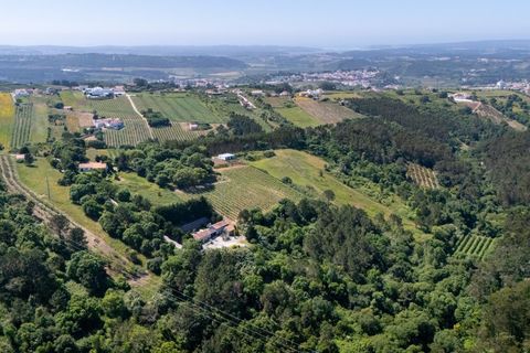 Villa i Obidos, Leiria, Obidos - € 980.000 | Ref: BL1245 - foto 36