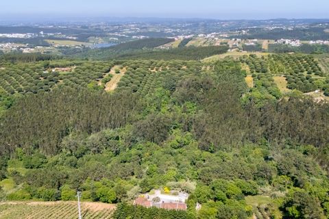 Villa i Obidos, Leiria, Obidos - € 980.000 | Ref: BL1245 - foto 37