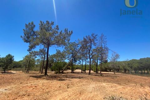 Helårsgrund i Almancil, Faro, Almancil - € 800.000 | Ref: TER_12924 - foto 1