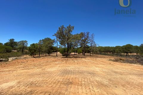 Helårsgrund i Almancil, Faro, Almancil - € 800.000 | Ref: TER_12924 - foto 2