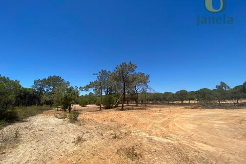 Helårsgrund i Almancil, Faro, Almancil - € 800.000 | Ref: TER_12924 - foto 3