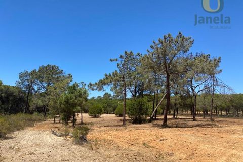 Helårsgrund i Almancil, Faro, Almancil - € 800.000 | Ref: TER_12924 - foto 4