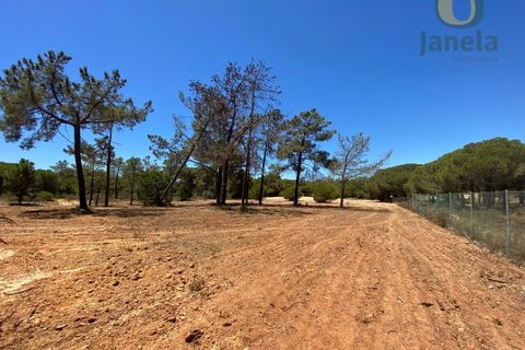 Helårsgrund i Almancil, Faro, Almancil - € 800.000 | Ref: TER_12924 - foto 5