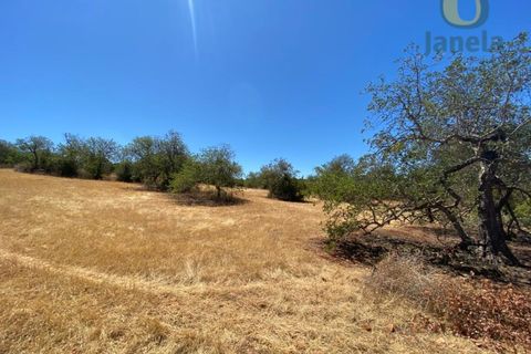 Helårsgrund i Almancil, Faro, Almancil - € 1.500.000 | Ref: TR12922 - foto 4