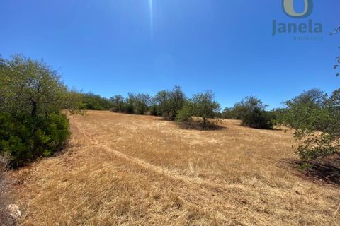 Helårsgrund i Almancil, Faro, Almancil - € 1.500.000 | Ref: TR12922 - foto 3
