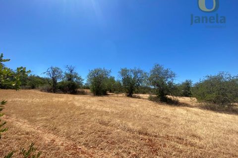 Helårsgrund i Almancil, Faro, Almancil - € 1.500.000 | Ref: TR12922 - foto 5