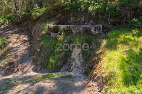 Helårsgrund i Barcelos, Braga, Barcelos - € 110.000 | Ref: ZMPT577468 - foto 10