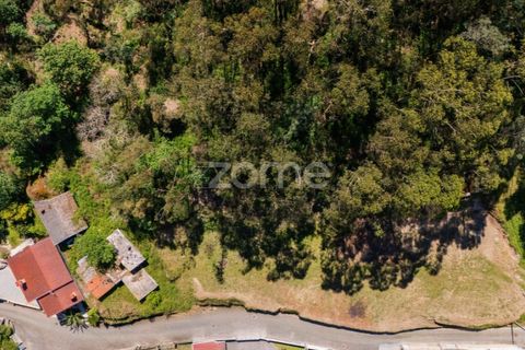 Helårsgrund i Barcelos, Braga, Barcelos - € 110.000 | Ref: ZMPT577468 - foto 19