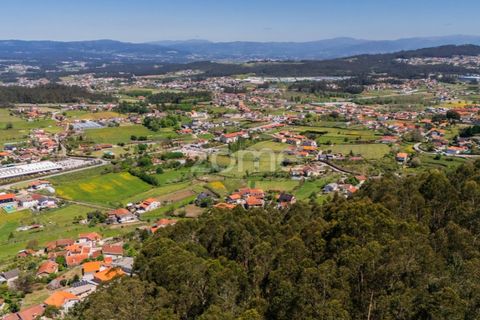 Helårsgrund i Barcelos, Braga, Barcelos - € 110.000 | Ref: ZMPT577468 - foto 20