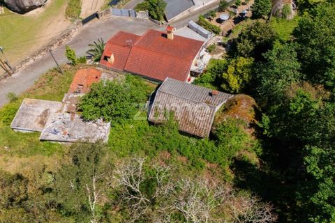 Helårsgrund i Barcelos, Braga, Barcelos - € 110.000 | Ref: ZMPT577468 - foto 21