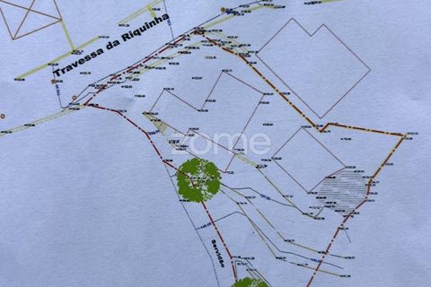 Helårsgrund i Barcelos, Braga, Barcelos - € 110.000 | Ref: ZMPT577468 - foto 24