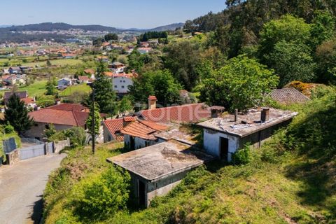 Helårsgrund i Barcelos, Braga, Barcelos - € 110.000 | Ref: ZMPT577468 - foto 14
