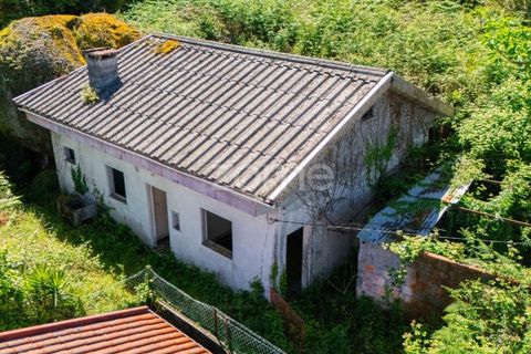Helårsgrund i Barcelos, Braga, Barcelos - € 110.000 | Ref: ZMPT577468 - foto 12