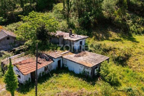 Terreno en Barcelos, Braga, Barcelos - € 110.000 | Ref: ZMPT577468 - photo 7