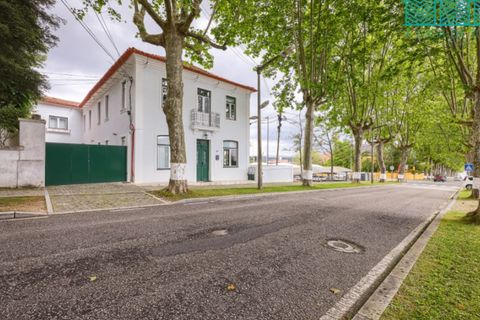 Villa i Anadia, Aveiro, Anadia - € 790.000 | Ref: CAS_2366 - foto 45