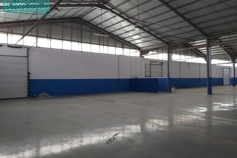 Bungalou a Agueda, Aveiro, Agueda - € 12.000/mes | Ref: PAV_2360 - foto 10