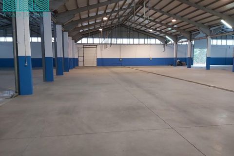 Bungalou a Agueda, Aveiro, Agueda - € 12.000/mes | Ref: PAV_2360 - foto 34