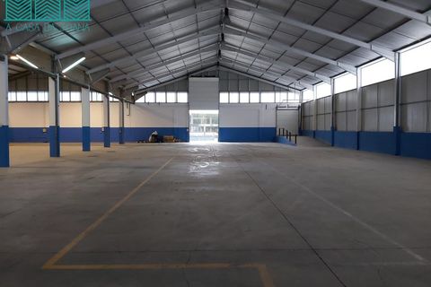 Bungalou a Agueda, Aveiro, Agueda - € 12.000/mes | Ref: PAV_2360 - foto 36