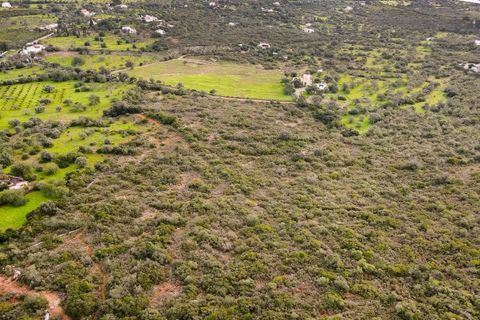 Helårsgrund i Moncarapacho, Faro, Moncarapacho - € 450.000 | Ref: SÒL_52851 - foto 4