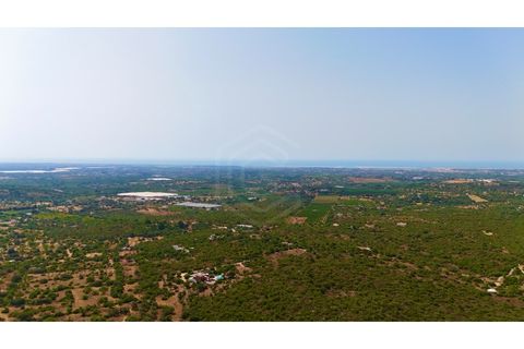 Helårsgrund i Moncarapacho, Faro, Moncarapacho - € 450.000 | Ref: SÒL_52851 - foto 10