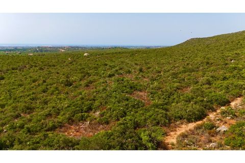 Helårsgrund i Moncarapacho, Faro, Moncarapacho - € 450.000 | Ref: SÒL_52851 - foto 13
