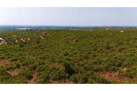 Helårsgrund i Moncarapacho, Faro, Moncarapacho - € 450.000 | Ref: SÒL_52851 - foto 14