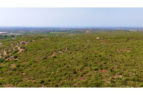 Helårsgrund i Moncarapacho, Faro, Moncarapacho - € 450.000 | Ref: SÒL_52851 - foto 16