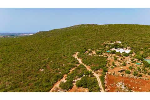 Helårsgrund i Moncarapacho, Faro, Moncarapacho - € 450.000 | Ref: SÒL_52851 - foto 18