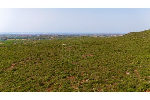 Helårsgrund i Moncarapacho, Faro, Moncarapacho - € 450.000 | Ref: SÒL_52851 - foto 19