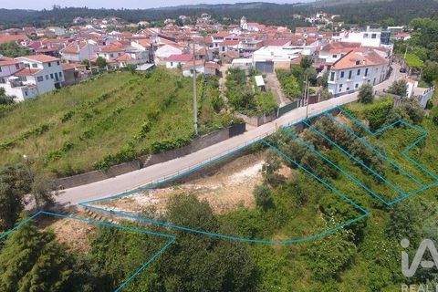 Terra a Arganil, Coimbra, Arganil - € 33.000 | Ref: 143313 - foto 8