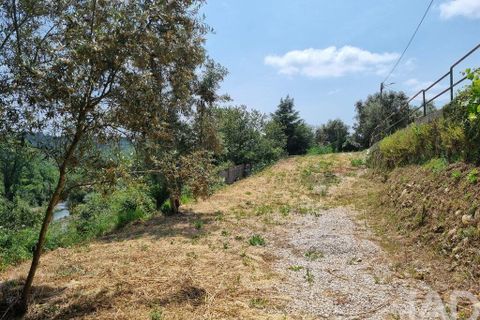 Terra a Arganil, Coimbra, Arganil - € 33.000 | Ref: 143313 - foto 11