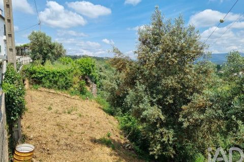 Terra a Arganil, Coimbra, Arganil - € 33.000 | Ref: 143313 - foto 15