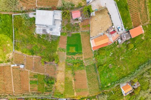 Helårsgrund i Ponta do Sol, Madeira, Ponta do Sol - € 140.000 | Ref: CT-1824/2025 - foto 15