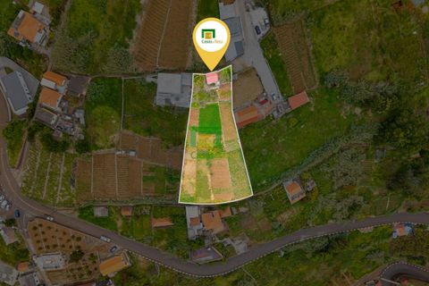 Helårsgrund i Ponta do Sol, Madeira, Ponta do Sol - € 140.000 | Ref: CT-1824/2025 - foto 16