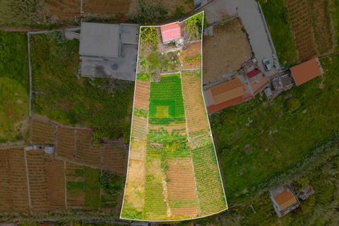 Helårsgrund i Ponta do Sol, Madeira, Ponta do Sol - € 140.000 | Ref: CT-1824/2025 - foto 18