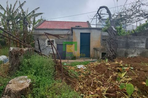 Helårsgrund i Ponta do Sol, Madeira, Ponta do Sol - € 140.000 | Ref: CT-1824/2025 - foto 20