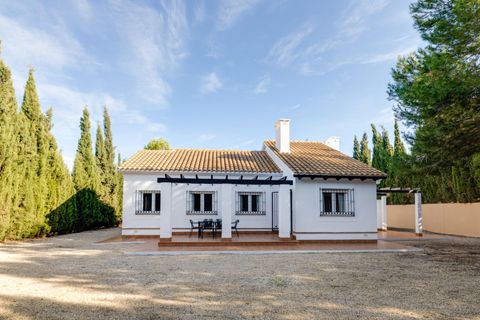 Villa - Murcia, Murcia, Murcia - € 199 000 | Réf : DH137/12065 - photo 4