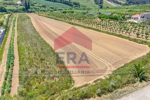 Helårsgrund i Obidos, Leiria, Obidos - € 99.500 | Ref: 150250106 - foto 1
