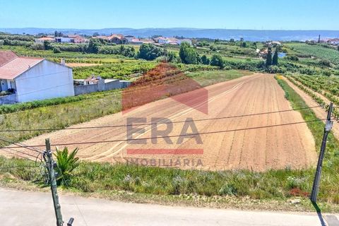 Helårsgrund i Obidos, Leiria, Obidos - € 99.500 | Ref: 150250106 - foto 2