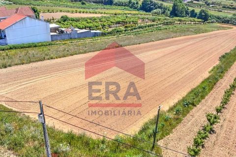 Helårsgrund i Obidos, Leiria, Obidos - € 99.500 | Ref: 150250106 - foto 3