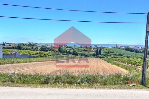 Helårsgrund i Obidos, Leiria, Obidos - € 99.500 | Ref: 150250106 - foto 4