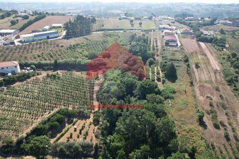 Helårsgrund i Obidos, Leiria, Obidos - € 129.500 | Ref: 150240221 - foto 5