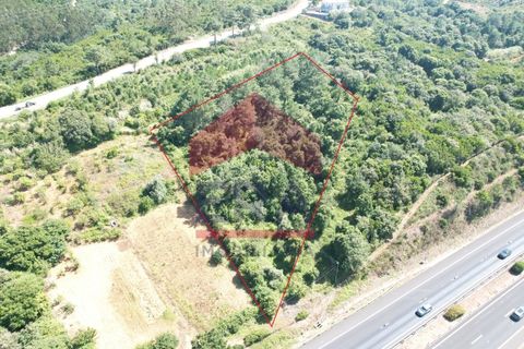 Helårsgrund i Obidos, Leiria, Obidos - € 30.000 | Ref: 150240205 - foto 1