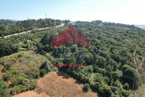 Helårsgrund i Obidos, Leiria, Obidos - € 30.000 | Ref: 150240205 - foto 3