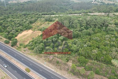 Helårsgrund i Obidos, Leiria, Obidos - € 30.000 | Ref: 150240205 - foto 6